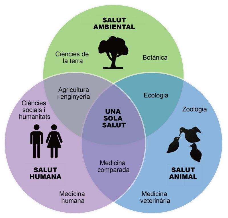 Salut ambiental